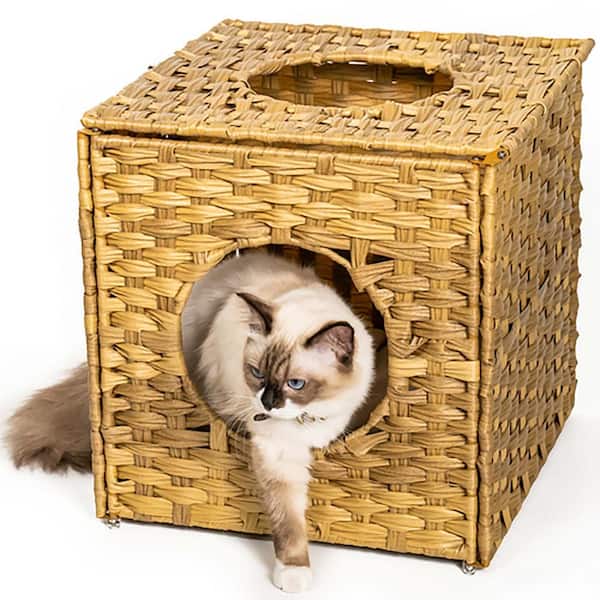 Ragdoll Cat Carrier  The Best Travel Cat Carrier of 2023