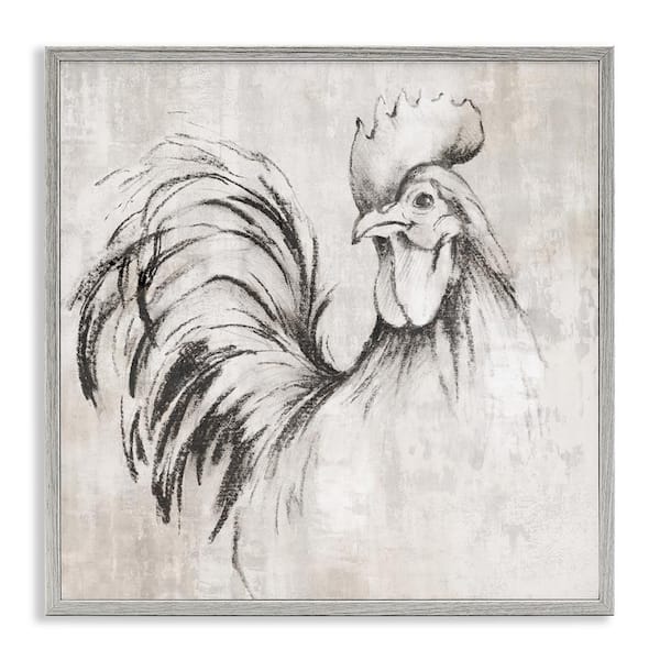 Stupell Industries Rooster Sketch Impression by Eli Jones Gray Framed Animal Giclee Art Print 12 in. x 12 in.