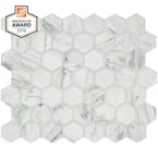 Carrara 10 in. x 12 in. x 6.35 mm Ceramic Hexagon Mosaic Floor and Wall Tile (0.81 sq. ft./Each)
