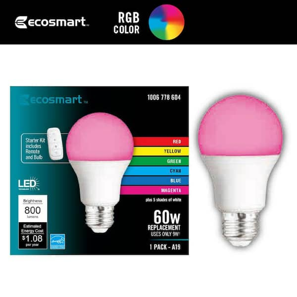 60-Watt Equivalent A19 CEC Color Changing LED Party Light Bulb Starter Kit with Remote (1-Pack)