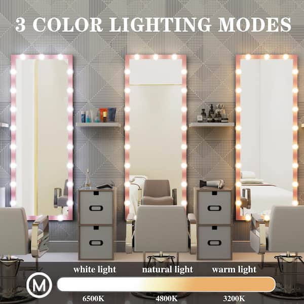 Modern 23.3 in. W x 62.6 in. H Rectangular Pink Metal Frame
