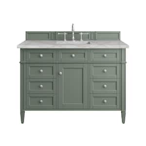 Brittany 48.0 in. W x 23.5 in. D x 33.8 in. H Bathroom Vanity in Smokey Celadon with Victorian Silver Top