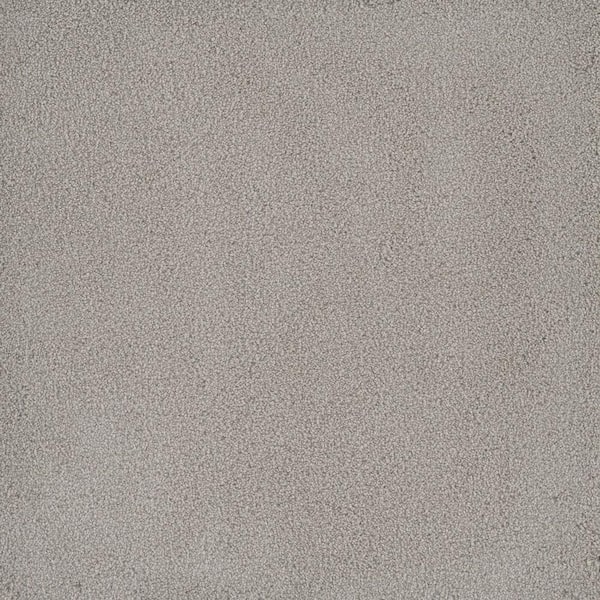 Home Decorators Collection First Class II - Cora - Beige 50 oz. SD Polyester Texture Installed Carpet
