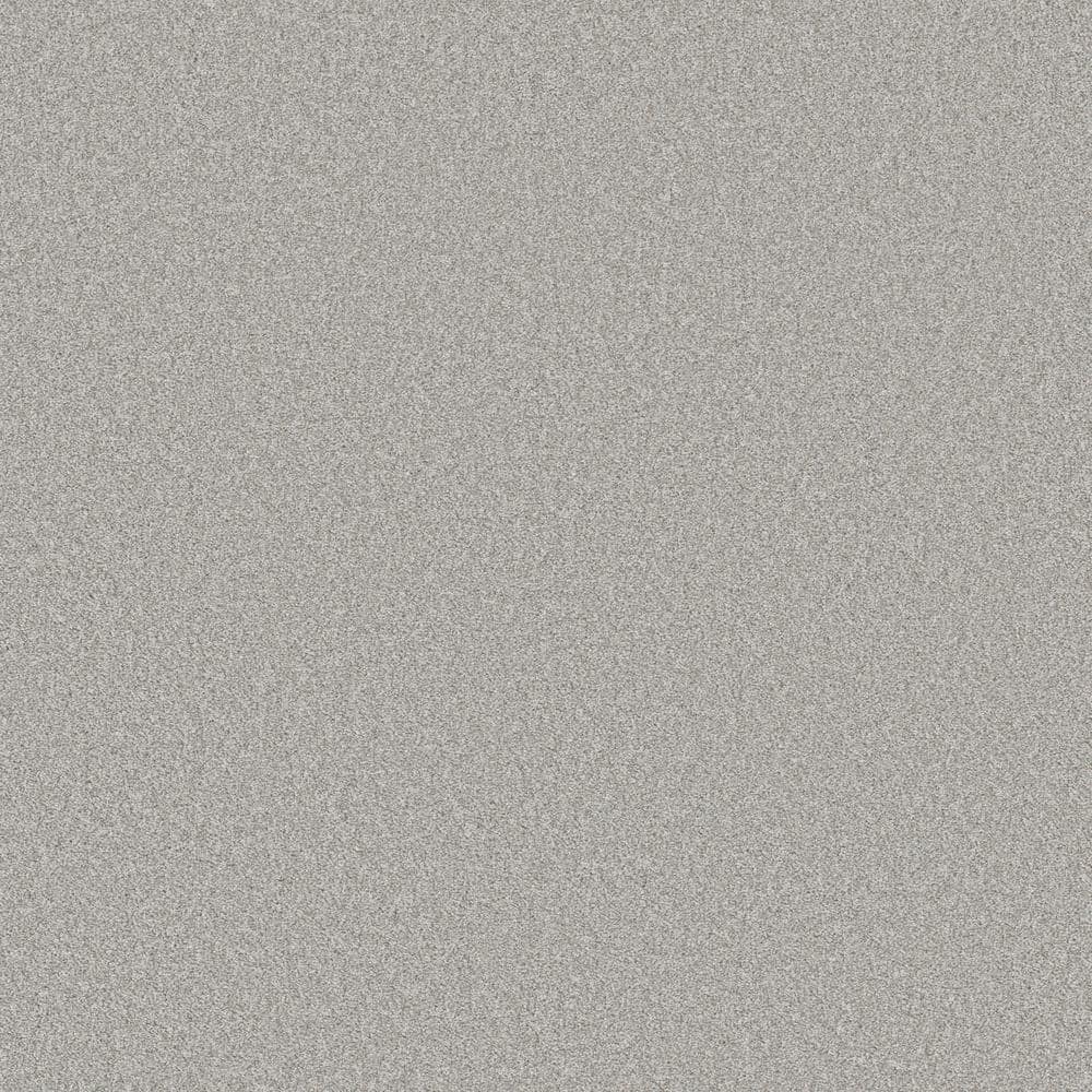 8 in. x 8 in. Texture Carpet Sample - Coastal Charm II -Color Cold Winter price history on PriceWatchPro