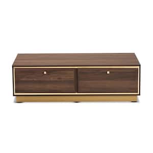 Cormac 41 .3 in. Walnut Brown and Gold Rectangle Wood Coffee Table