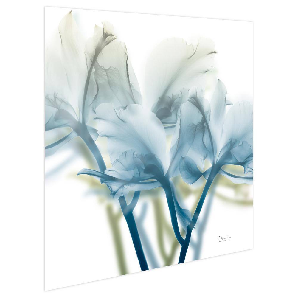 Blue Floral X-Ray Tempered Glass Wall Art, 24" x 24"
