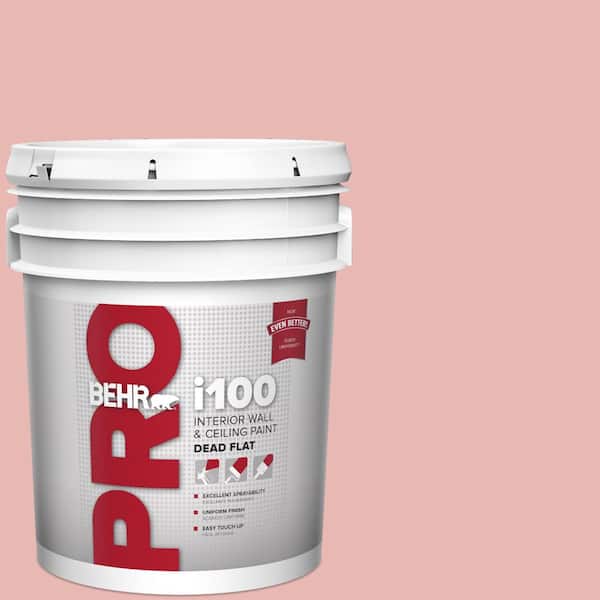 BEHR PRO 5 gal. #MQ4-04 Noble Blush Dead Flat Interior Paint