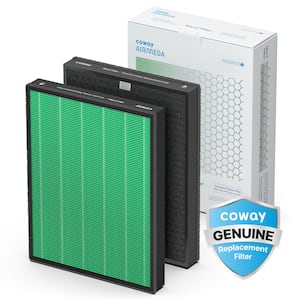 Philips GoPure Sanifilter Replacement Filter for GP5611 SNF100 - The Home  Depot