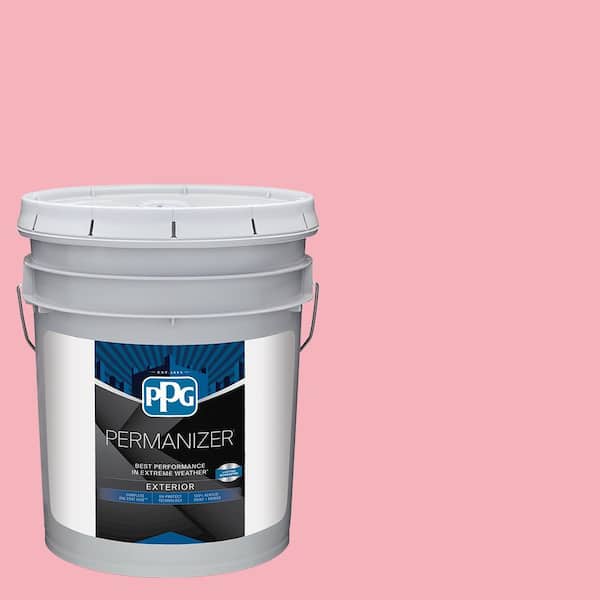5 gal. PPG1184-3 Powder Rose Semi-Gloss Exterior Paint