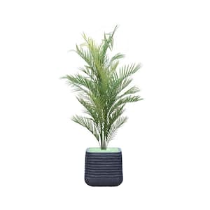 55 in. glow in the dark artificial palm tree in sustainable planter