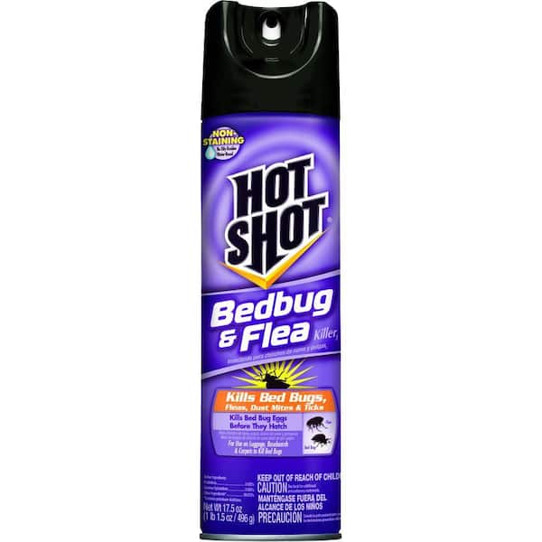 Hot Shot Bed Bug and Flea Killer 17.5 oz. Aerosol Spray
