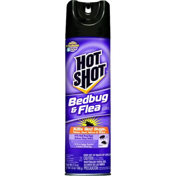 Bed Bug and Flea Killer 17.5 oz. Aerosol Spray