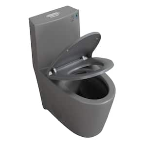 15 5/8 in. 1.1/1.6 GPF Dual Flush 1-Piece Elongated Toilet in Light Grey with Soft-Close Seat