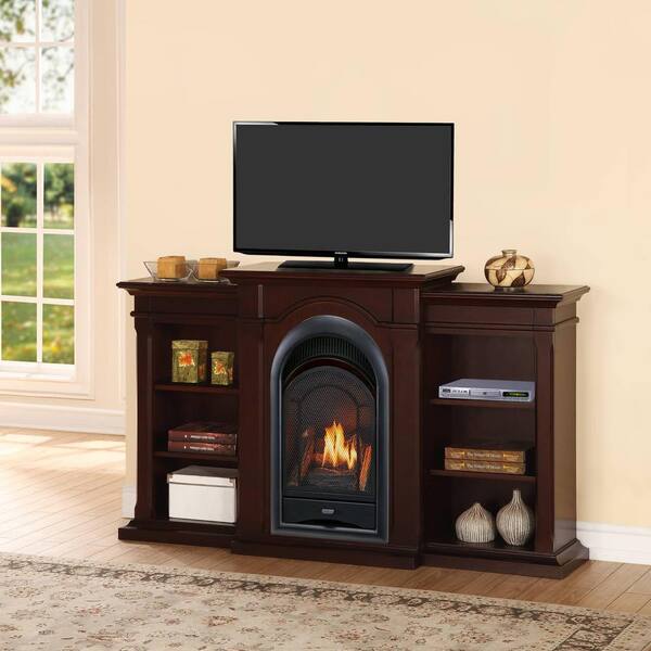 ProCom 10,000 BTU Ventless Dual Fuel Thermostat Insert Fireplace System  with Shelves 170195 - The Home Depot