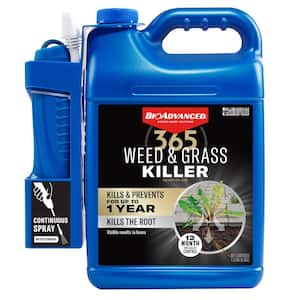 1.3 Gal. Ready-To-Use 365 Weed and Grass Killer