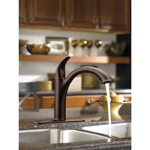 Camerist Single-Handle Pull-Out Sprayer Kitchen Faucet in Oil Rubbed Bronze