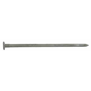 10 in. Hot Galvanized Spike Nail 50 lbs. Box