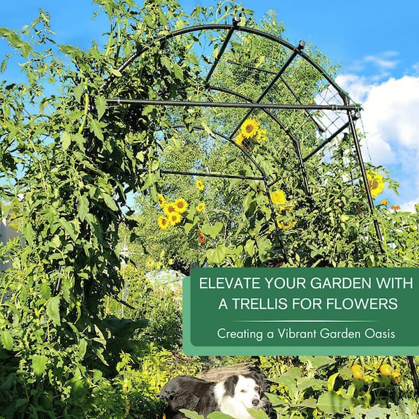 Phewnyzo 7 in. Polyethylene-Coated Stainless Steel Arch Garden