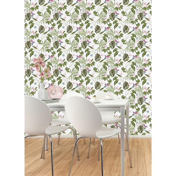 Multi-Colored Clivia White Hummingbird Wallpaper Sample