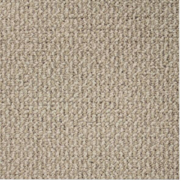 TrafficMaster Carpet Sample - Skill Set - Color Stone Loop 8 in. x 8 in.