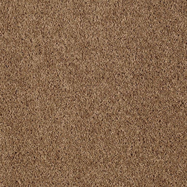 Lifeproof Ambrosina I  - Cigar Leaf - Brown 30 oz. Triexta Texture Installed Carpet