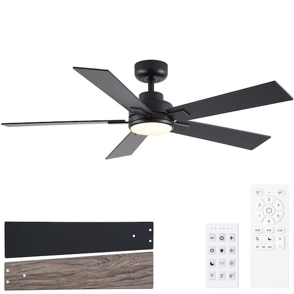 Cirrus 52 in. Black Downrod Standard Ceiling Fan with Light, Remote Control Included and Plywood Blades