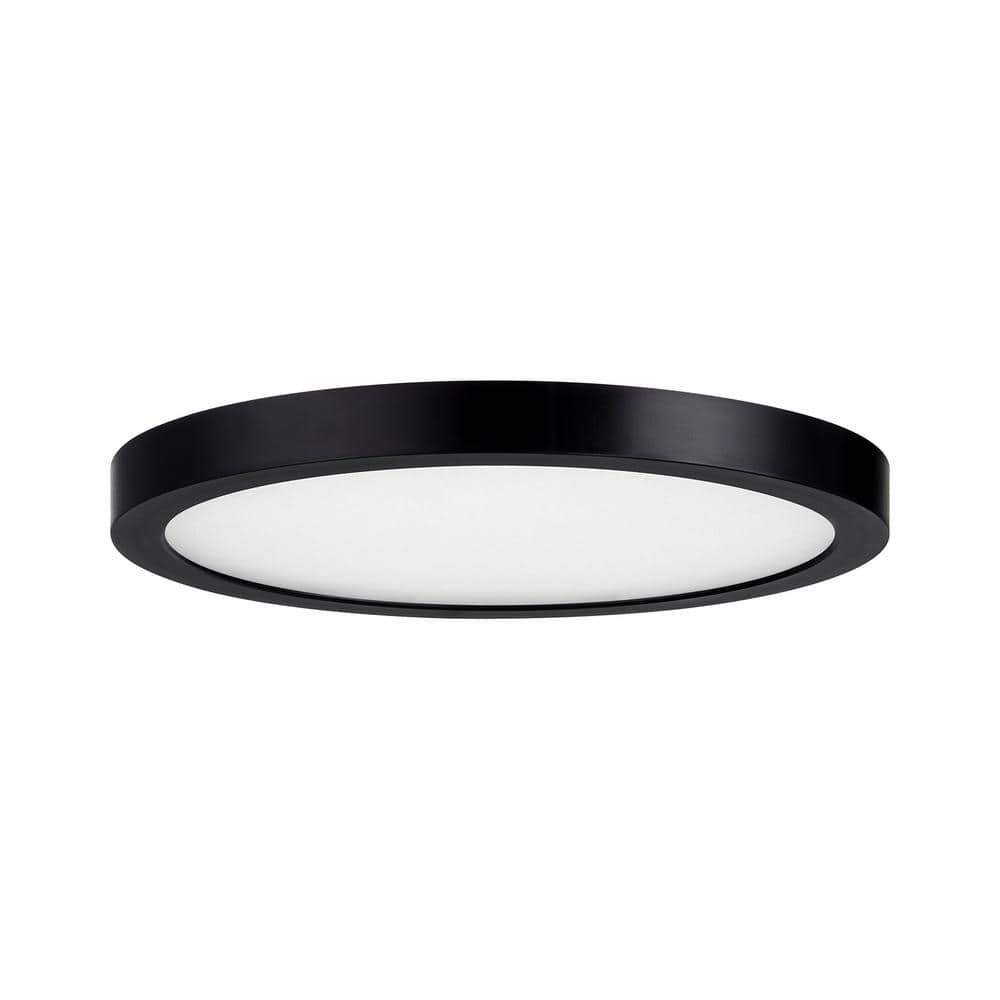 Black Glass LED Flush Mount Ceiling Light