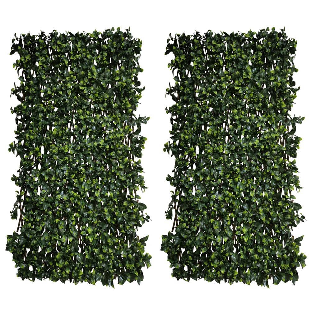 32 in. W x 50 in. H Artificial Leaf Hedges Fold Single Side Expandable Faux