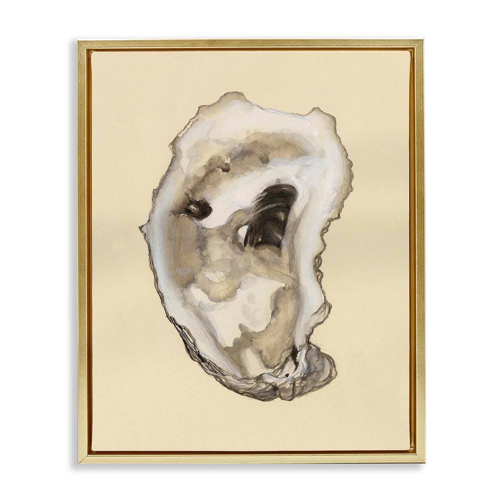 Natural Oyster Shell by Michael Willett Gold Floater Frame Coastal Graphic Art Print 21 in. x 17 in. price history on PriceWatchPro
