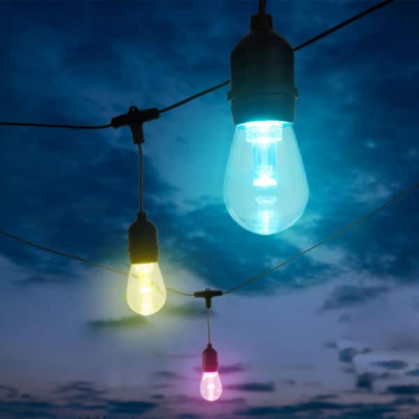 5050 ZAIYW 50Ft 1000 LED Cluster String Lights Dual Color