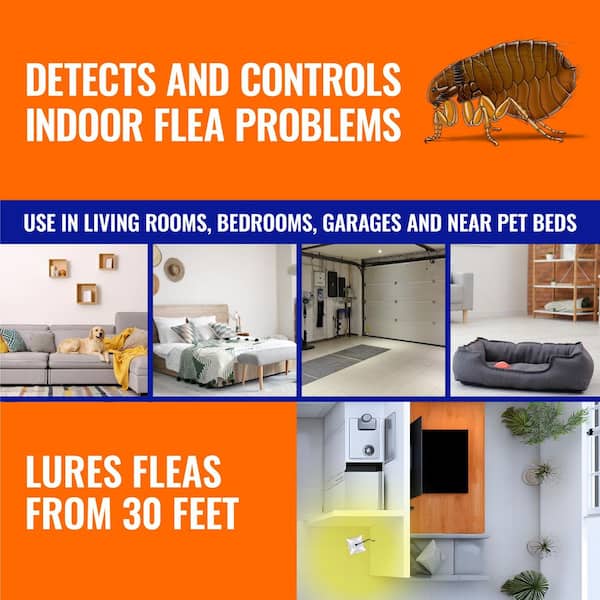 Refillable Flea Trap (2-Pack)