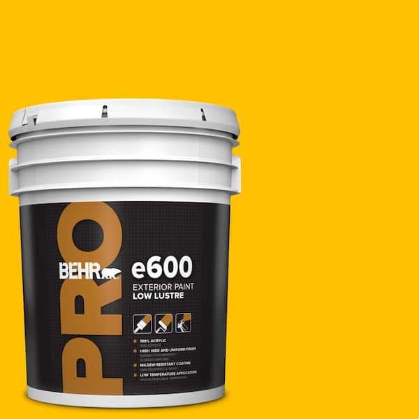 BEHR PRO 5 gal. #360B-7 Center Stage Low Luster Exterior Paint