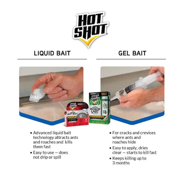 Shop Hot Shot Fragrance Free Aerosol & Liquid Roach Bait Bundle at