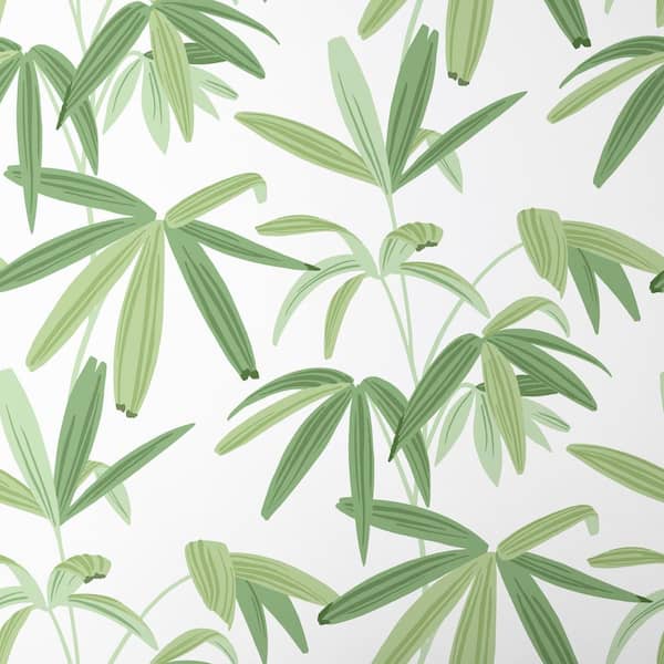 The Company Store Palm Leaf White and Green combination Non-Pasted Wallpaper Roll (Covers approximately 52 square feet continuous)