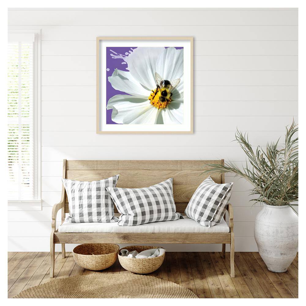 Flower Pop IV by Marie Elaine Cusson Framed Graphic Art Print