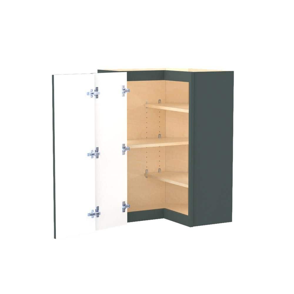 Franklin 24 in. W x 24 in. D x 36 in. H Assembled Plywood Wall Kitchen Corner Cabinet in Verdant Green with Shelves price history on PriceWatchPro