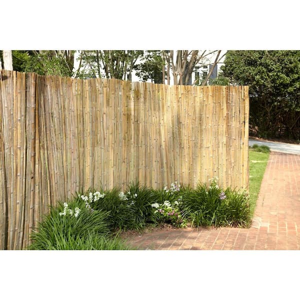 Hampton Bay 6 ft. x 6 ft. Peeled and Polished Reed Fence