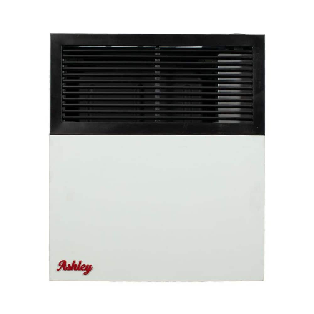 Ashley Hearth Products Ashley Direct Vent Wall Heater Dual Fuel