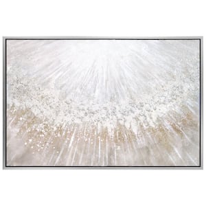 ''Silver Pellets'' by Martin Edwards Framed Textured Metallic Abstract Hand Painted Wall Art 32 in. x 48 in.