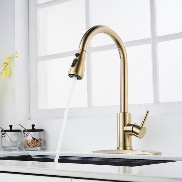 Cornet Gold Finish Kitchen Sink Faucet with Dual Spouts & Cover Plate -  Funitic