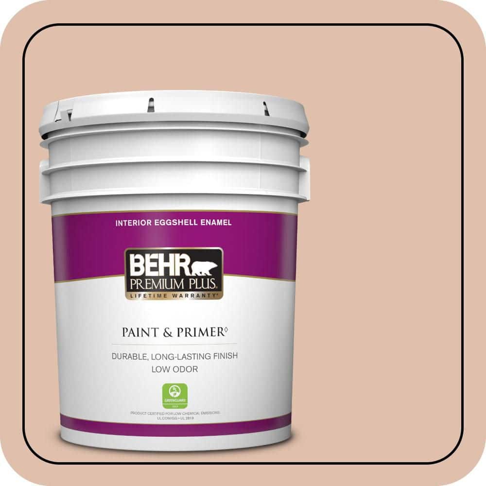 5 gal. #S200-2 Cinnamon Tea Eggshell Enamel Low Odor Interior Paint & Primer price history on PriceWatchPro