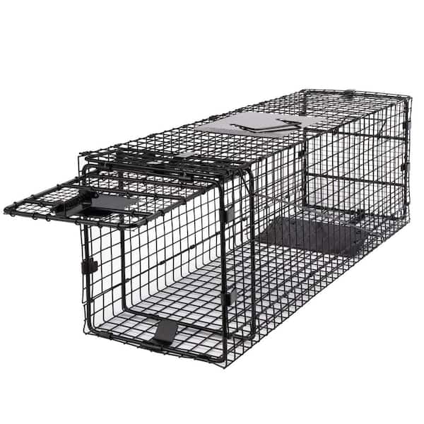 Unbranded 32 in. Folding Raccoon Live Animal Cage Trap (1-Pack)