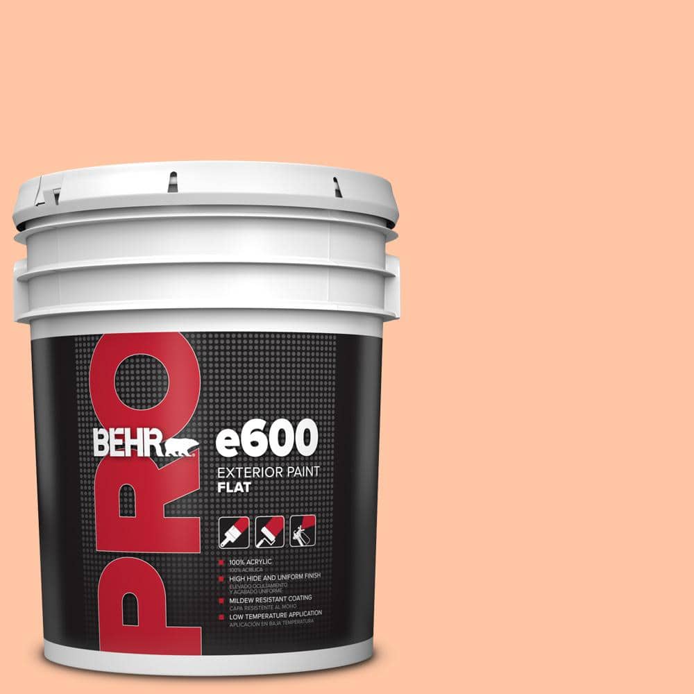 5 gal. #240A-3 Bright Citrus Flat Exterior Paint price history on PriceWatchPro