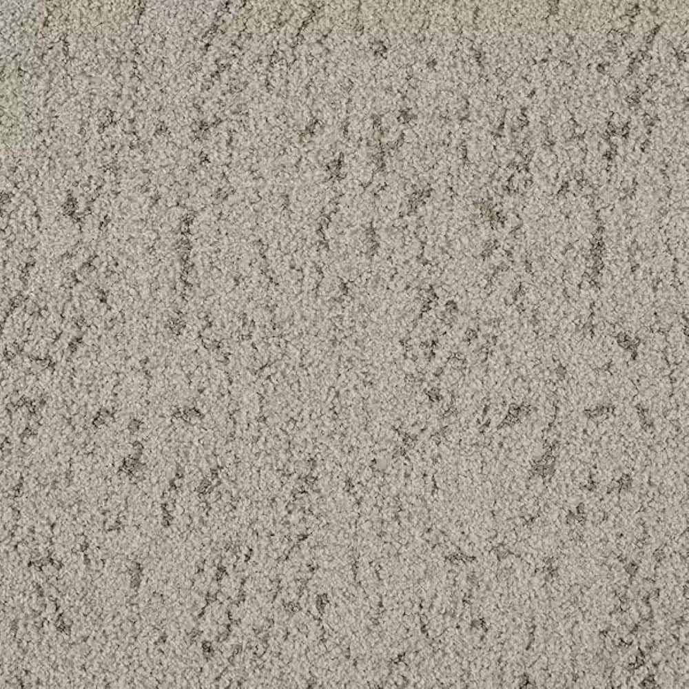 8 in. x 8 in. Pattern Carpet Sample - Tender Tomes - Color Sandy Cove price history on PriceWatchPro