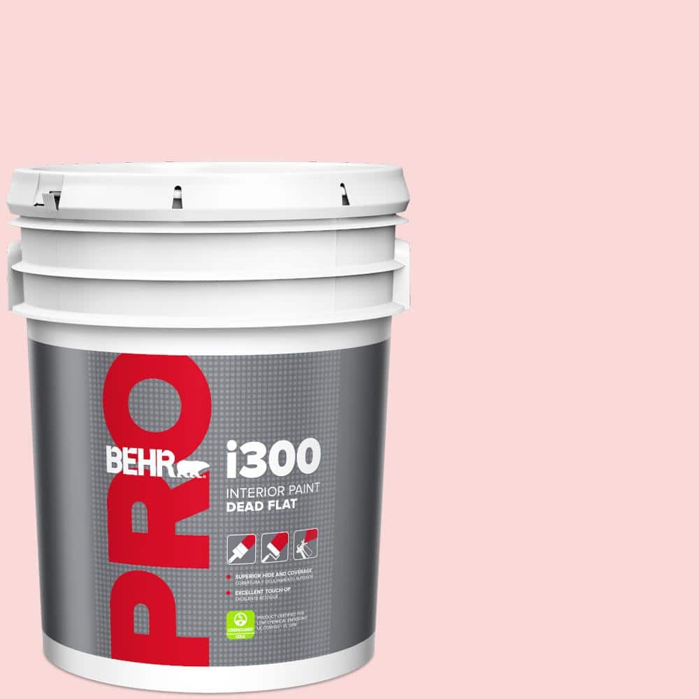 5 gal. #140A-2 Coy Pink Dead Flat Interior Paint price history on PriceWatchPro
