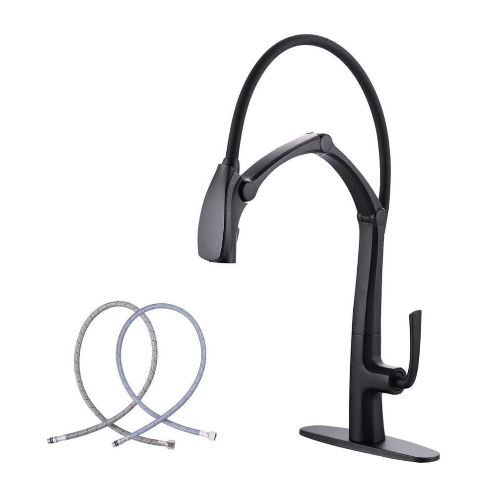 21.9 in. Single Handle Pull Down Sprayer Kitchen Faucet with MagnaTite Docking and 360° Rotation in Matte Black price history on PriceWatchPro