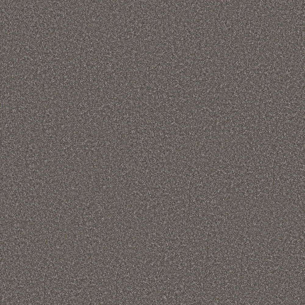 8 in. x 8 in. Texture Carpet Sample - Snug Sweets I - Color Grey Mirage price history on PriceWatchPro