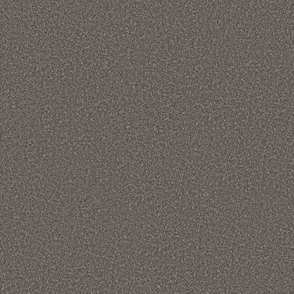 8 in. x 8 in. Texture Carpet Sample - Snug Sweets III - Color Grey Mirage price history on PriceWatchPro