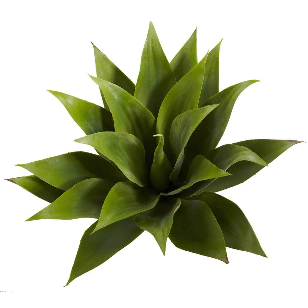 Tropical Twist 22.5" Silk Agave Succulent Set in Plastic Pots