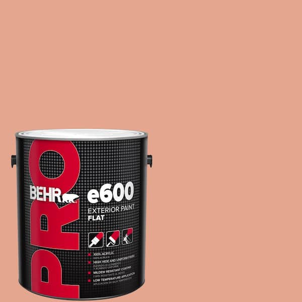 BEHR PRO 1 gal. #M180-4 Priceless Coral Flat Exterior Paint